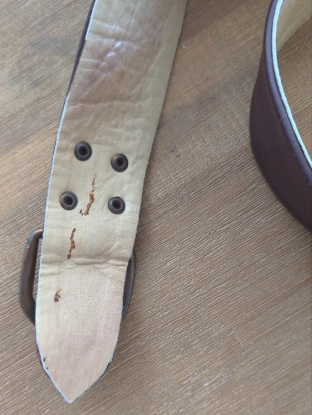 Brown Belt with Metal Stud Accents
